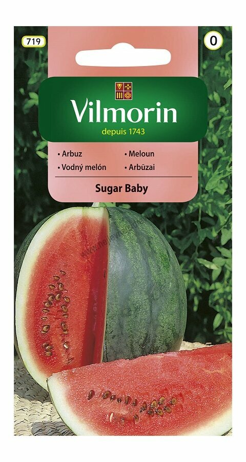 Vilmorin CLASSIC Meloun SUGAR BABY - časný 1 g